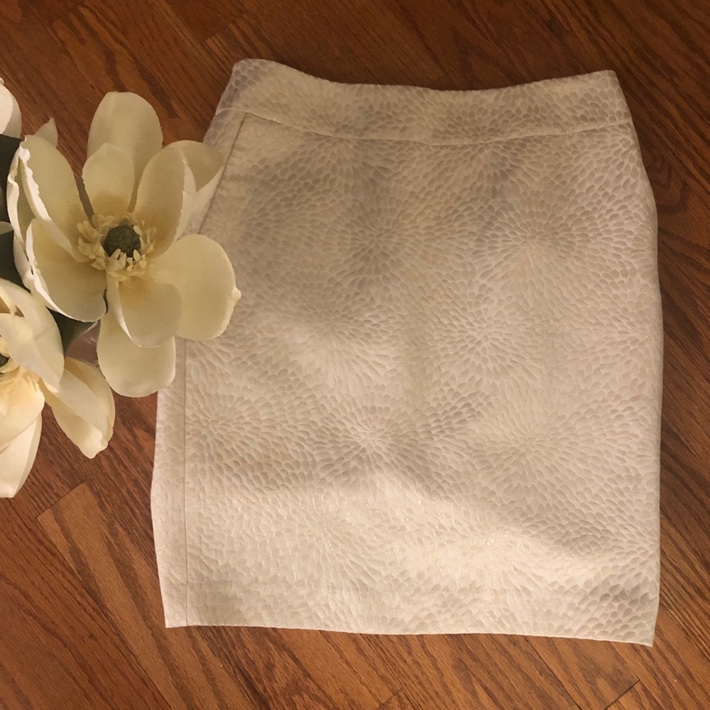 Ann Taylor Loft pencil Skirt